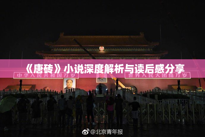 《唐砖》小说深度解析与读后感分享