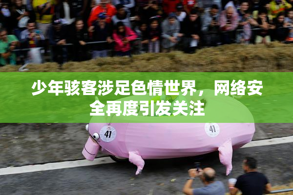 少年骇客涉足色情世界，网络安全再度引发关注