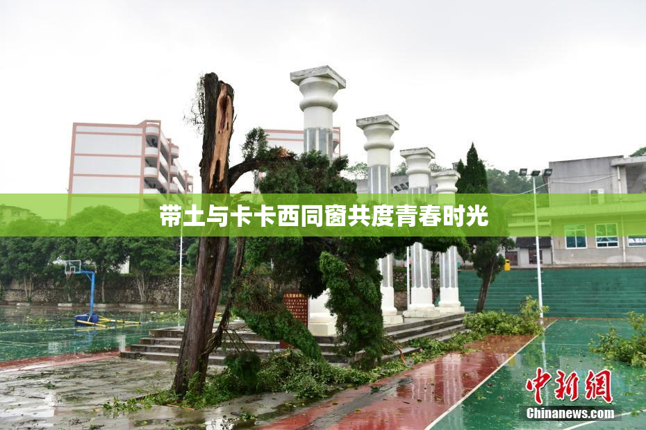 带土与卡卡西同窗共度青春时光