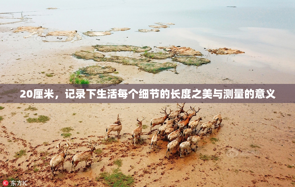 20厘米，记录下生活每个细节的长度之美与测量的意义