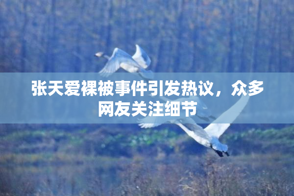 张天爱裸被事件引发热议，众多网友关注细节