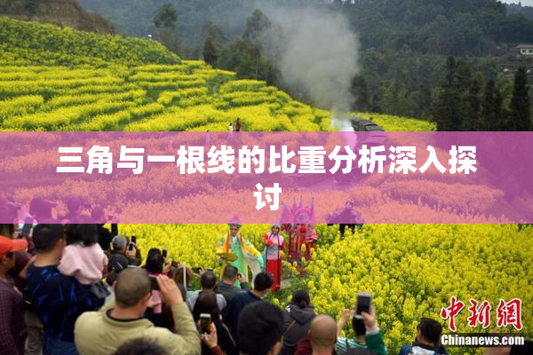 三角与一根线的比重分析深入探讨