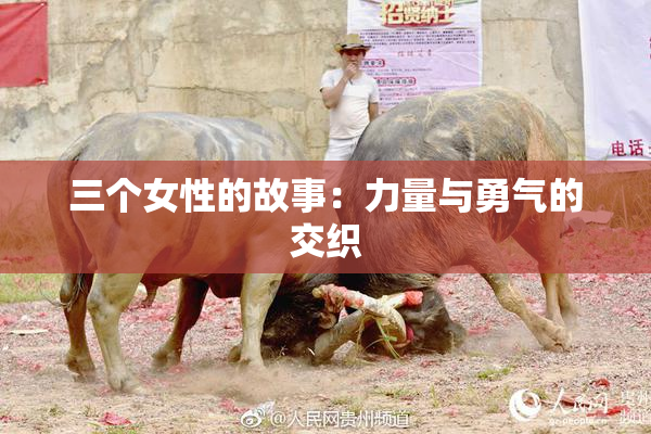 三个女性的故事：力量与勇气的交织