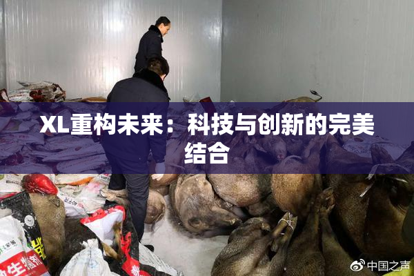 XL重构未来：科技与创新的完美结合