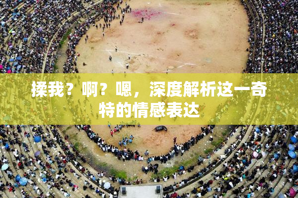 揉我？啊？嗯，深度解析这一奇特的情感表达