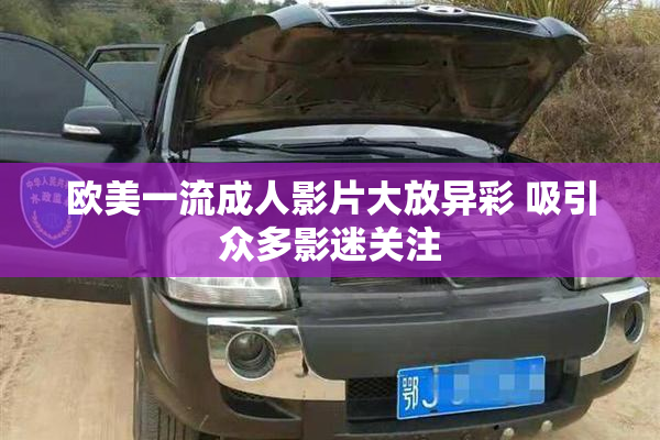 欧美一流成人影片大放异彩 吸引众多影迷关注