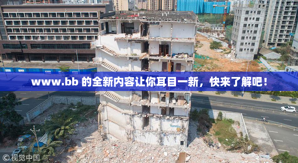 www.bb 的全新内容让你耳目一新，快来了解吧！
