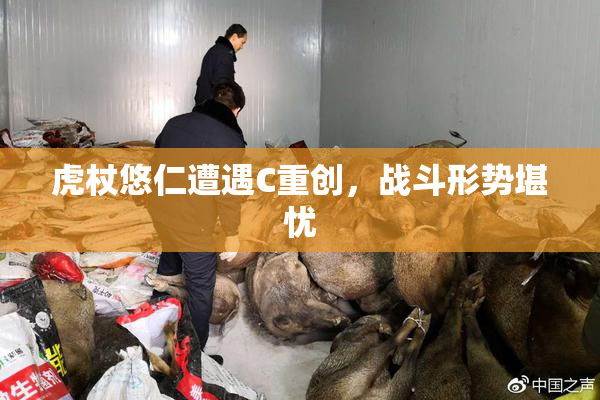虎杖悠仁遭遇C重创，战斗形势堪忧