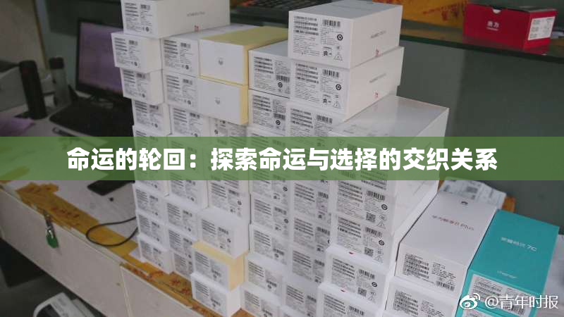 命运的轮回：探索命运与选择的交织关系