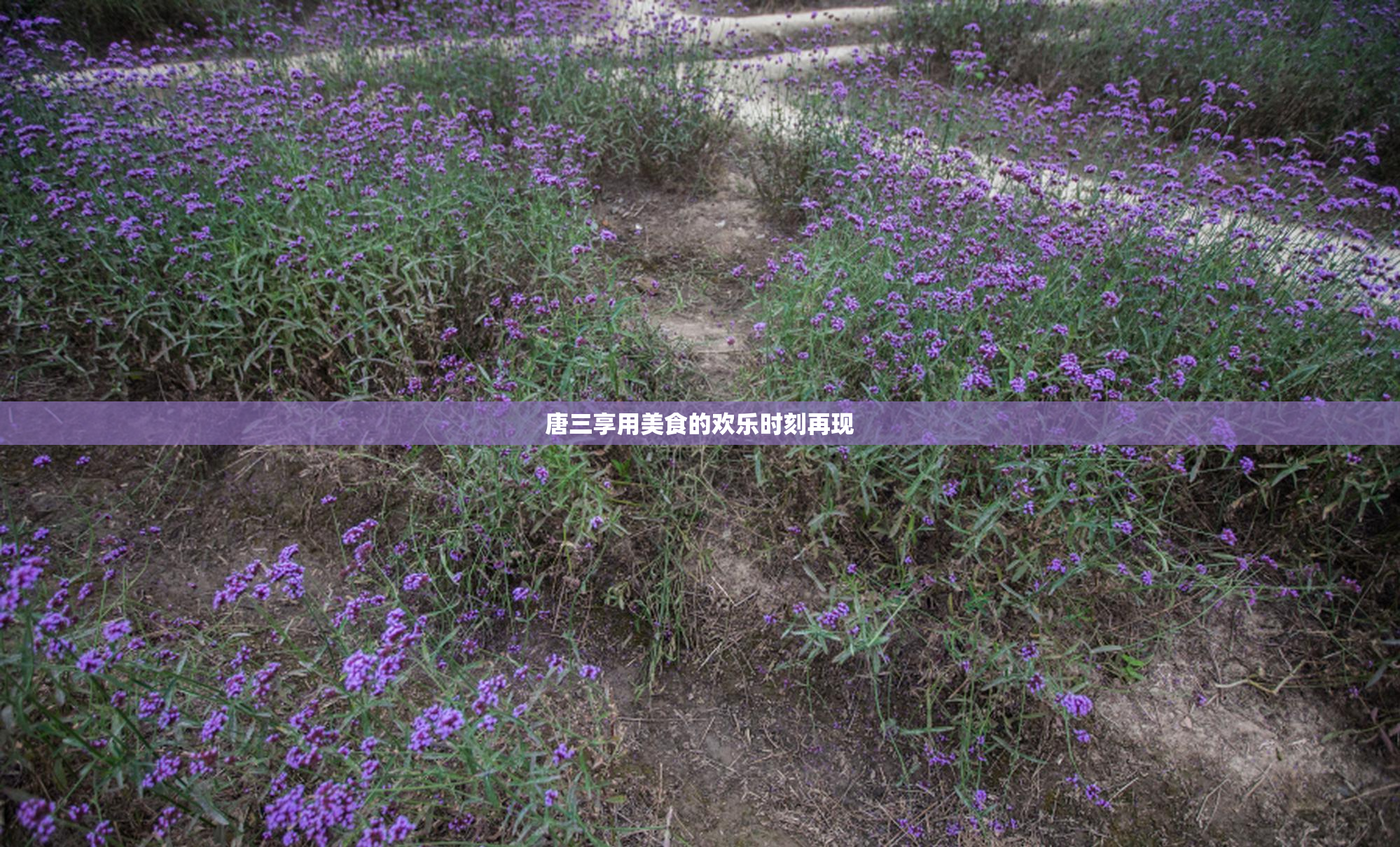 唐三享用美食的欢乐时刻再现