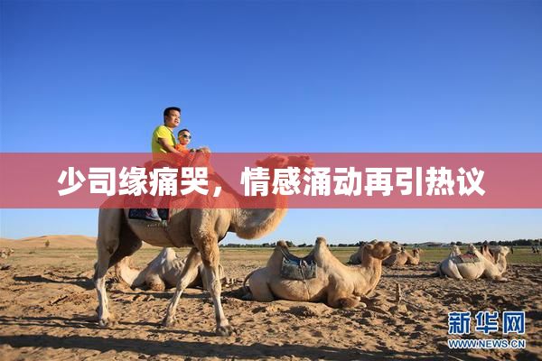 少司缘痛哭，情感涌动再引热议