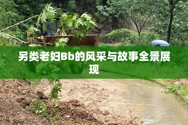 另类老妇Bb的风采与故事全景展现
