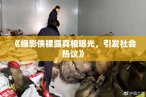 《绿影侠裸露真相曝光，引发社会热议》