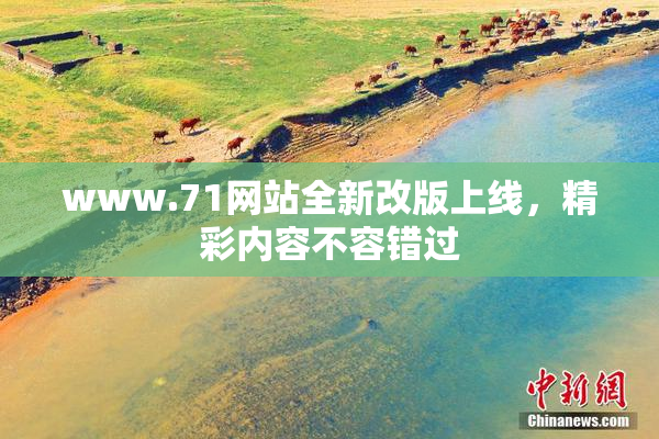 www.71网站全新改版上线，精彩内容不容错过