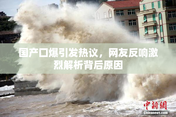 国产囗爆引发热议，网友反响激烈解析背后原因