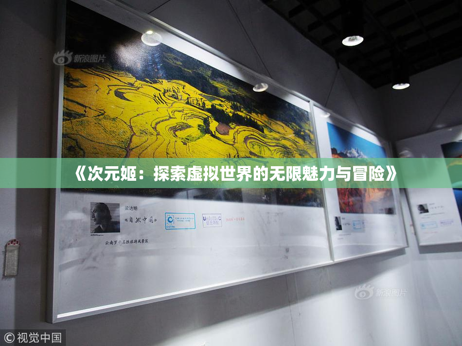 《次元姬：探索虚拟世界的无限魅力与冒险》