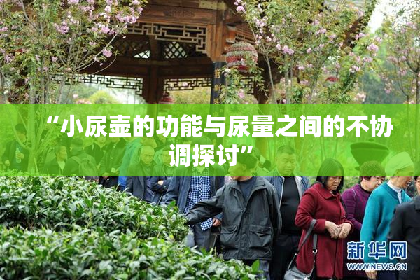 “小尿壶的功能与尿量之间的不协调探讨”