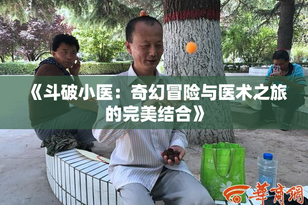 《斗破小医：奇幻冒险与医术之旅的完美结合》