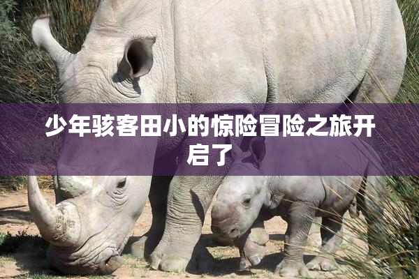 少年骇客田小的惊险冒险之旅开启了