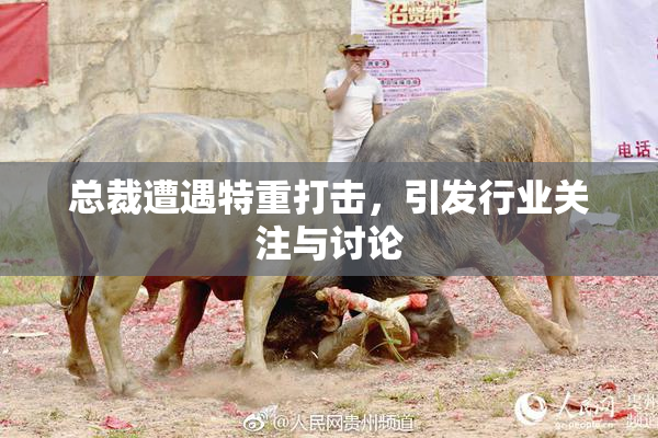 总裁遭遇特重打击，引发行业关注与讨论