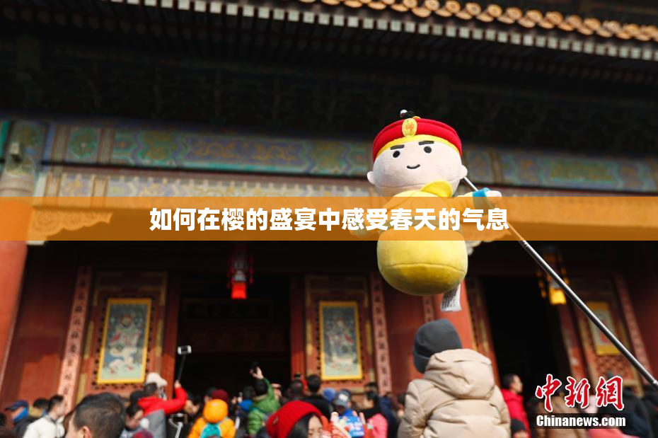 如何在樱的盛宴中感受春天的气息