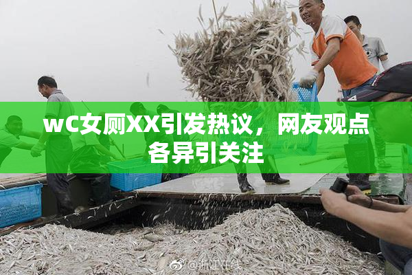 wC女厕XX引发热议，网友观点各异引关注