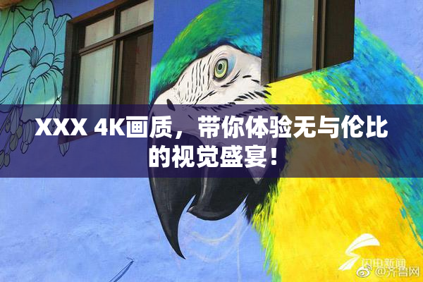 XXX 4K画质，带你体验无与伦比的视觉盛宴！