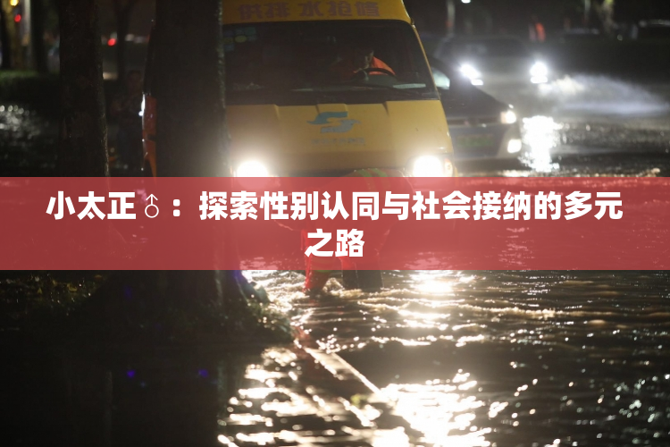小太正♂：探索性别认同与社会接纳的多元之路
