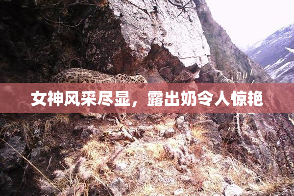 女神风采尽显，露出奶令人惊艳