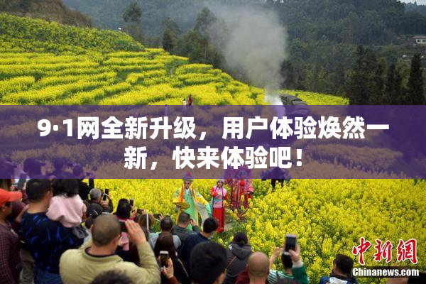9·1网全新升级，用户体验焕然一新，快来体验吧！
