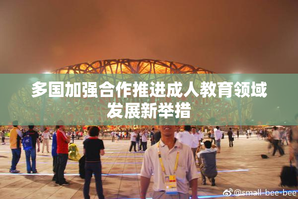 多国加强合作推进成人教育领域发展新举措