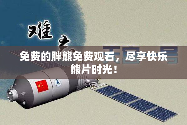 免费的胖熊免费观看，尽享快乐熊片时光！