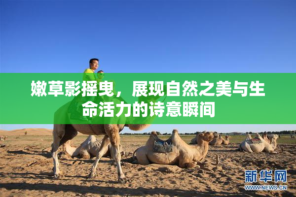 嫩草影摇曳，展现自然之美与生命活力的诗意瞬间
