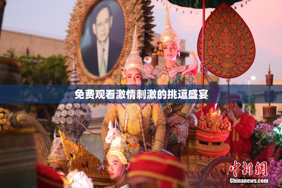 免费观看激情刺激的挑逗盛宴