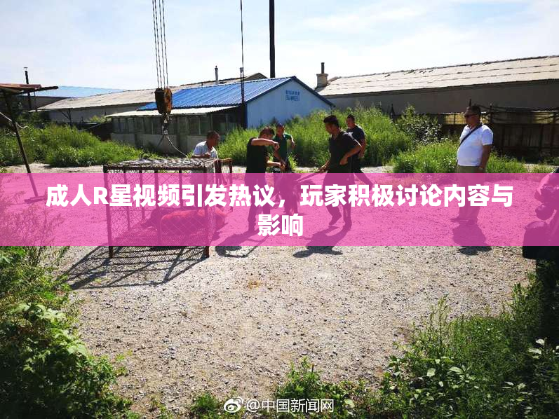 成人R星视频引发热议，玩家积极讨论内容与影响