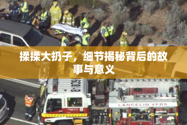 揉揉大扔子，细节揭秘背后的故事与意义