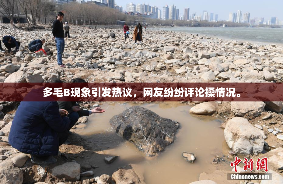 多毛B现象引发热议，网友纷纷评论搡情况。