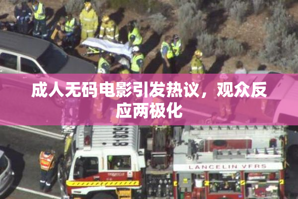 成人无码电影引发热议，观众反应两极化