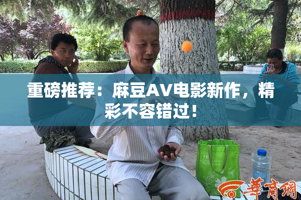 重磅推荐：麻豆AV电影新作，精彩不容错过！