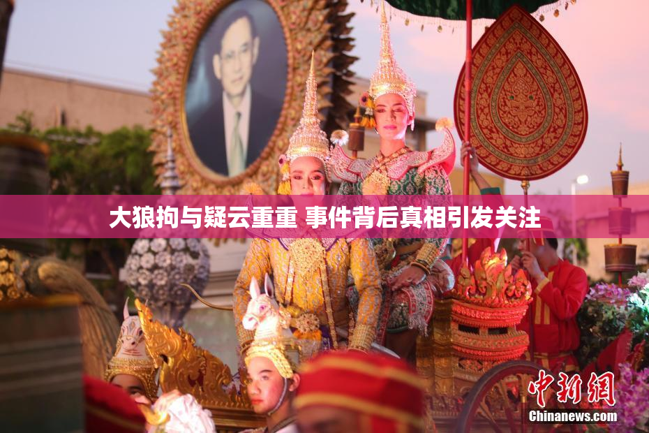 大狼拘与疑云重重 事件背后真相引发关注
