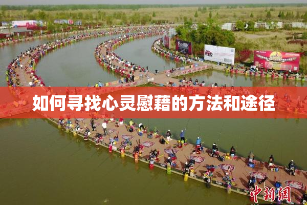 如何寻找心灵慰藉的方法和途径