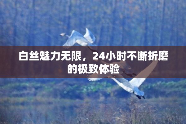 白丝魅力无限，24小时不断折磨的极致体验