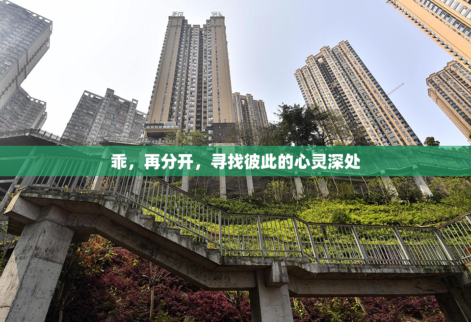 乖，再分开，寻找彼此的心灵深处