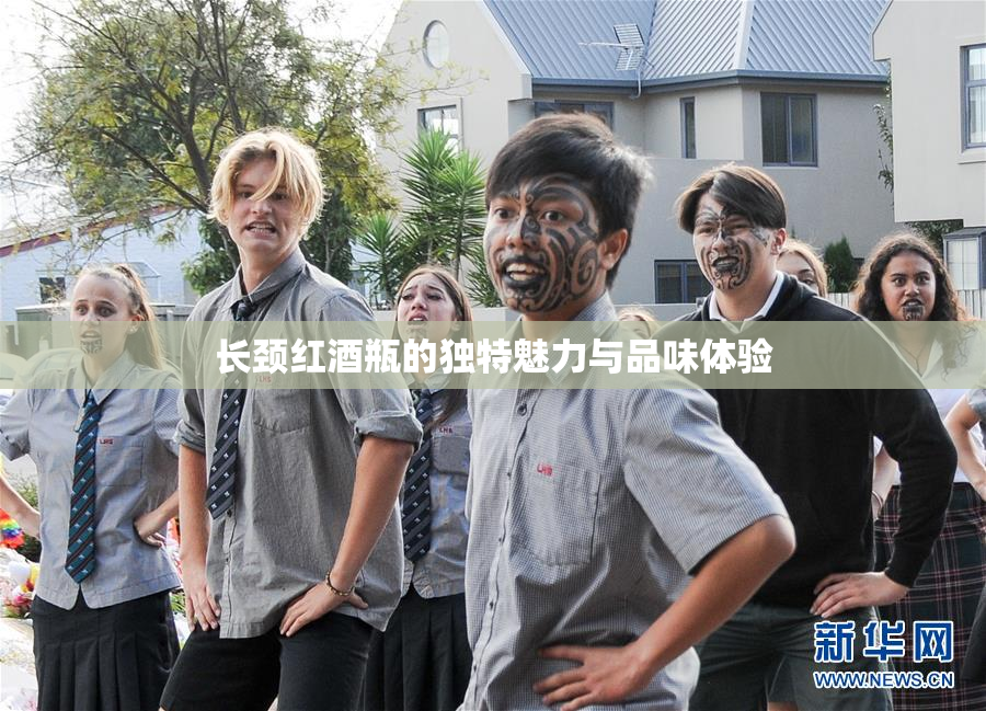 长颈红酒瓶的独特魅力与品味体验