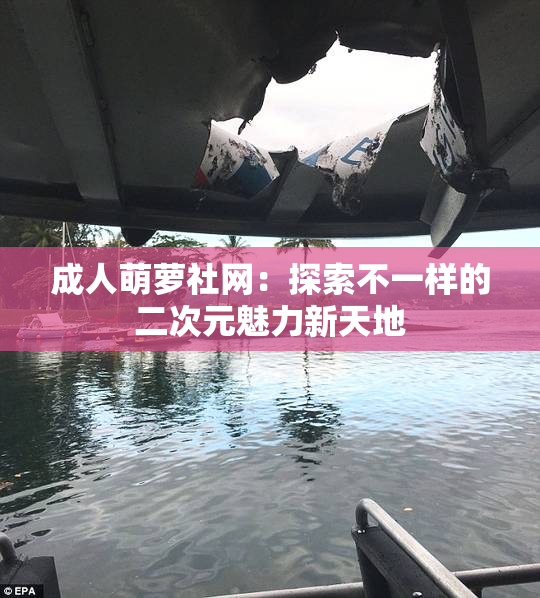 成人萌萝社网：探索不一样的二次元魅力新天地