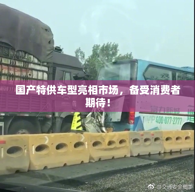 国产特供车型亮相市场，备受消费者期待！