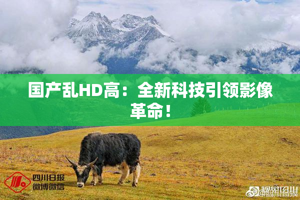 国产乱HD高：全新科技引领影像革命！