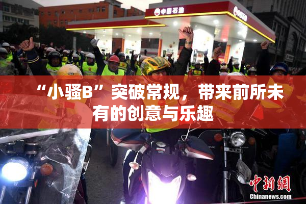 “小骚B”突破常规，带来前所未有的创意与乐趣
