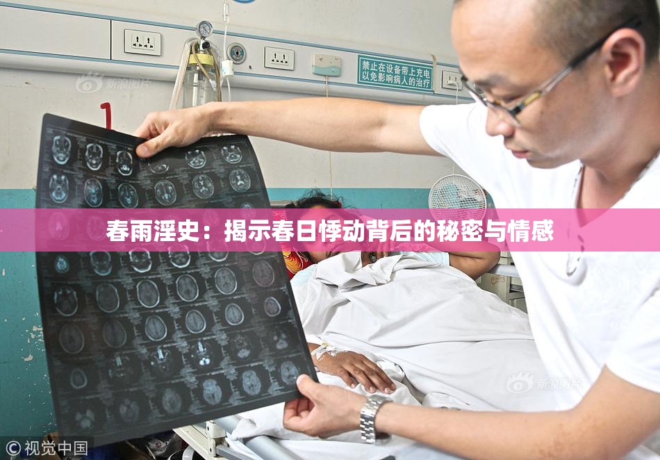 春雨淫史：揭示春日悸动背后的秘密与情感