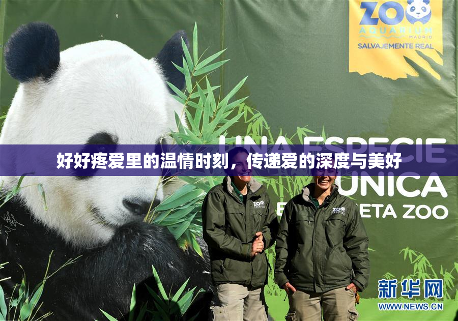 好好疼爱里的温情时刻，传递爱的深度与美好